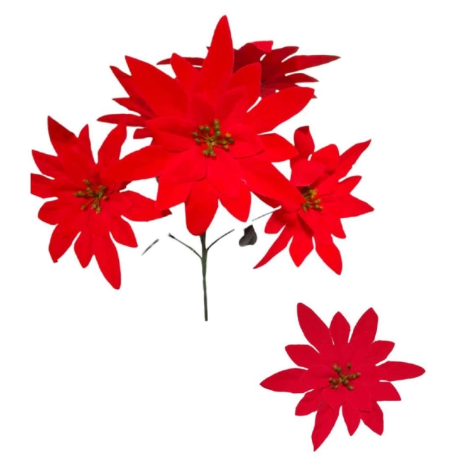 Bico de Papagaio Aveludado - 30cm