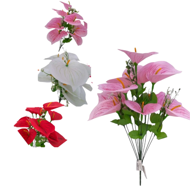 Copo de Leite - 45cm