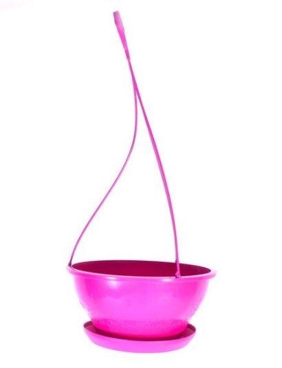 Cuia C - 21 com Alça e Base Multi-Cores