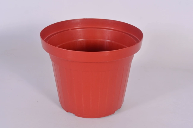 Vaso PL - 24 Color